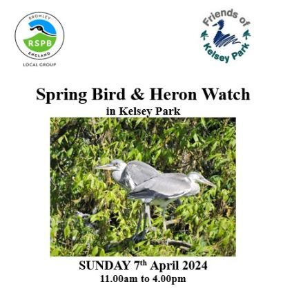 Spring Bird watch