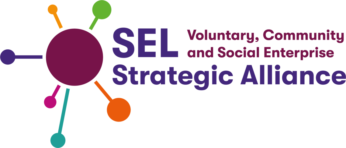 SEL VCSE logo
